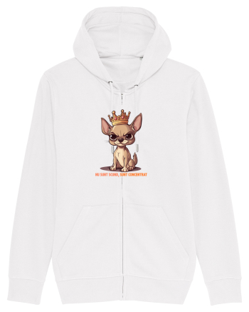 NU SUNT SCUND, SUNT CONCENTRAT - CHIHUAHUA 1 White