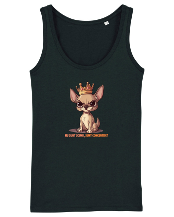 NU SUNT SCUND, SUNT CONCENTRAT - CHIHUAHUA 1 Black