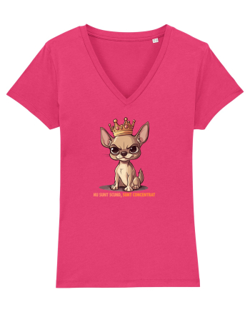NU SUNT SCUND, SUNT CONCENTRAT - CHIHUAHUA 1 Raspberry