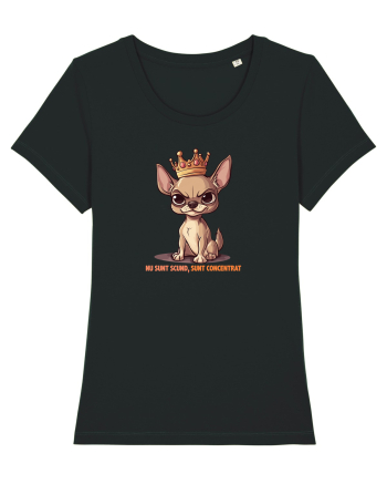 NU SUNT SCUND, SUNT CONCENTRAT - CHIHUAHUA 1 Black