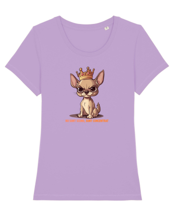 NU SUNT SCUND, SUNT CONCENTRAT - CHIHUAHUA 1 Lavender Dawn