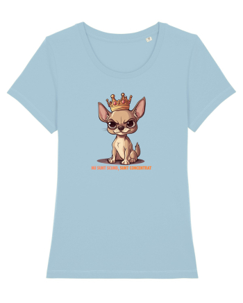 NU SUNT SCUND, SUNT CONCENTRAT - CHIHUAHUA 1 Sky Blue