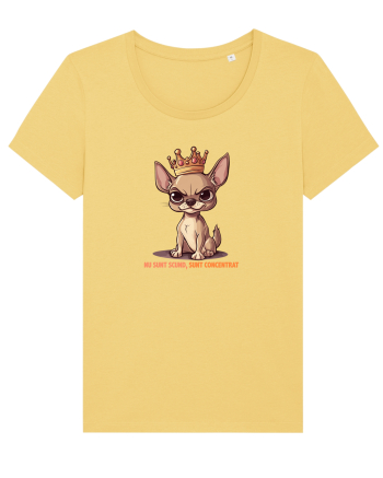 NU SUNT SCUND, SUNT CONCENTRAT - CHIHUAHUA 1 Jojoba