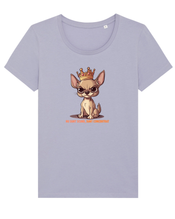 NU SUNT SCUND, SUNT CONCENTRAT - CHIHUAHUA 1 Lavender