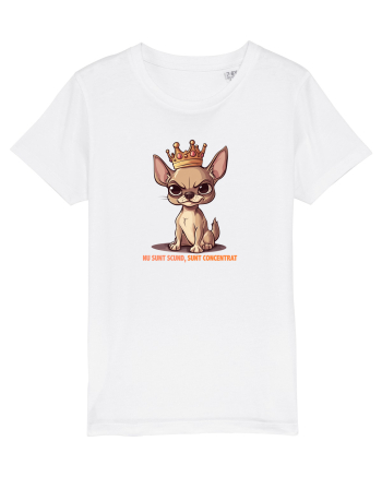 NU SUNT SCUND, SUNT CONCENTRAT - CHIHUAHUA 1 White