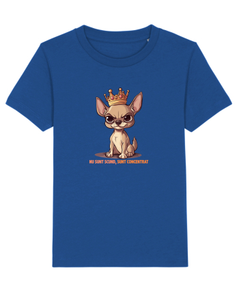 NU SUNT SCUND, SUNT CONCENTRAT - CHIHUAHUA 1 Majorelle Blue
