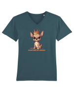 NU SUNT SCUND, SUNT CONCENTRAT - CHIHUAHUA 1 Tricou mânecă scurtă guler V Bărbat Presenter