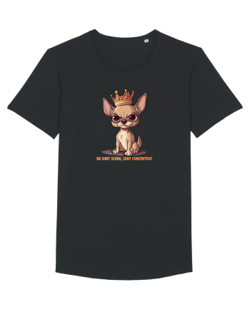 NU SUNT SCUND, SUNT CONCENTRAT - CHIHUAHUA 1 Black