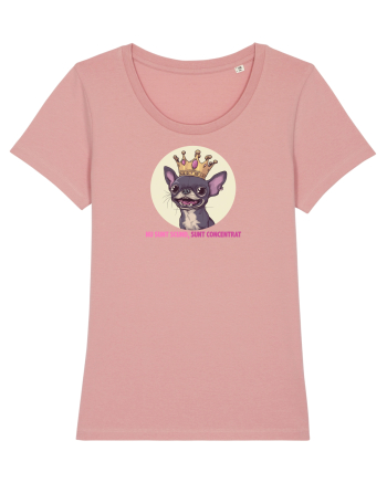 NU SUNT SCUND, SUNT CONCENTRAT - CHIHUAHUA 2 Canyon Pink