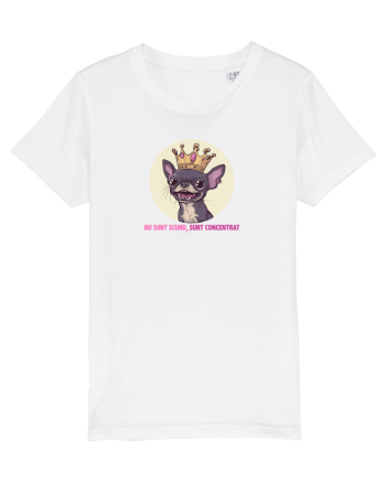 NU SUNT SCUND, SUNT CONCENTRAT - CHIHUAHUA 2 White