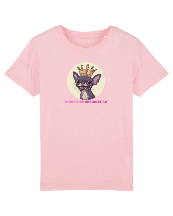 NU SUNT SCUND, SUNT CONCENTRAT - CHIHUAHUA 2 Cotton Pink