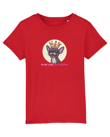 NU SUNT SCUND, SUNT CONCENTRAT - CHIHUAHUA 2 Red