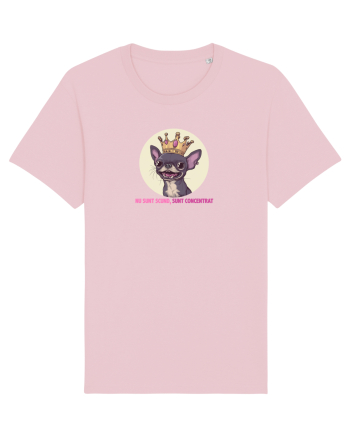 NU SUNT SCUND, SUNT CONCENTRAT - CHIHUAHUA 2 Cotton Pink