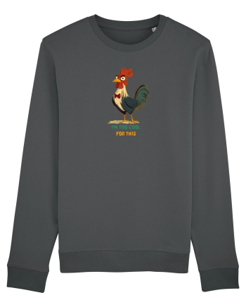 I`M TOO COOL FOR THIS - COCOS Anthracite