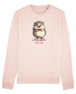 I`M TOO PRETTY FOR THIS - ARICI Bluză mânecă lungă Unisex Rise