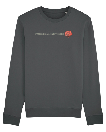 PROFESSIONAL OVERTHINKER - CREIER INCINS - LATERAL Anthracite