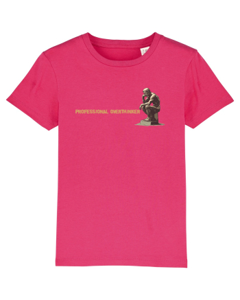 PROFESSIONAL OVERTHINKER - GANDITORUL DE LA HAMANGIA - lateral Raspberry