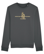 PROFESSIONAL OVERTHINKER - GANDITORUL - OM PRIMITIV  Bluză mânecă lungă Unisex Rise