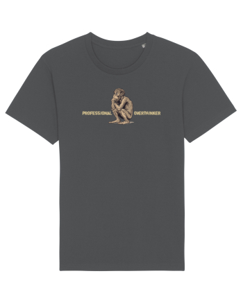 PROFESSIONAL OVERTHINKER - GANDITORUL - OM PRIMITIV  2  Anthracite