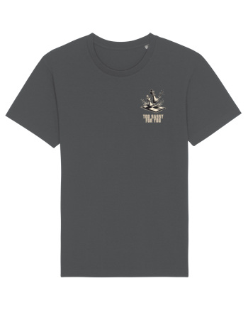 TOO SASSY FOR YOU - REGINA lateral Anthracite