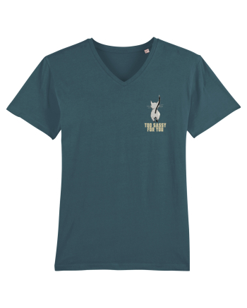 TOO SASSY FOR YOU - PISICA lateral Stargazer
