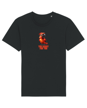 TOO SASSY FOR YOU - PAPAGAL 1  Black