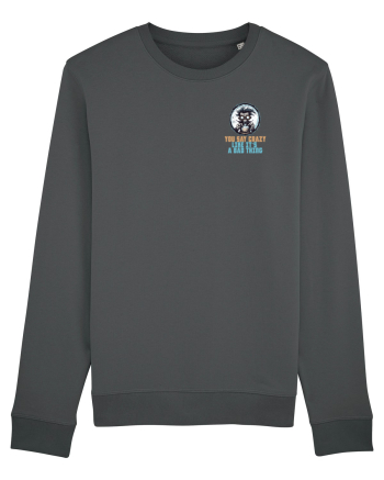 YOU SAY CRAZY LIKE IT`S A BAD THING - MAD SCIENTIST 1 lateral Anthracite
