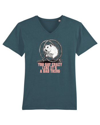 YOU SAY CRAZY LIKE IT`S A BAD THING - HAMSTER  Stargazer