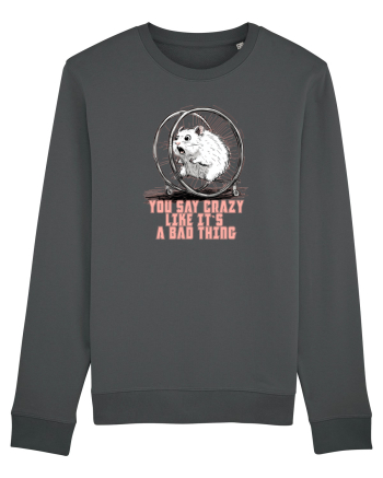 YOU SAY CRAZY LIKE IT`S A BAD THING - HAMSTER  Anthracite