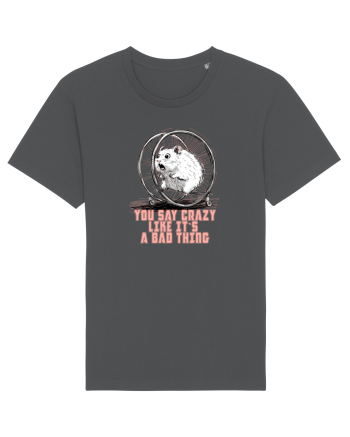 YOU SAY CRAZY LIKE IT`S A BAD THING - HAMSTER  Anthracite