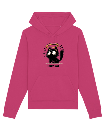Holy cat 2 Raspberry