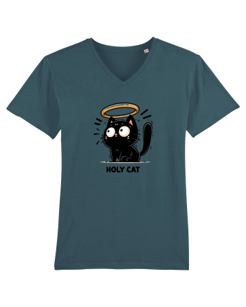Holy cat 2 Stargazer