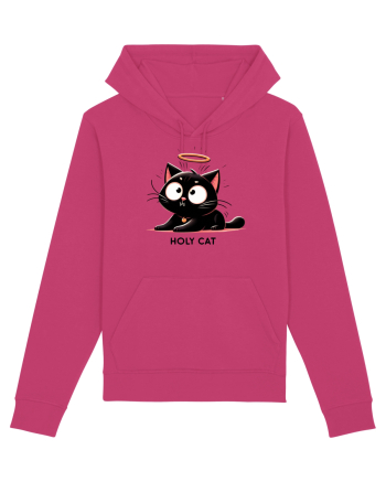 Holy cat 3 Raspberry