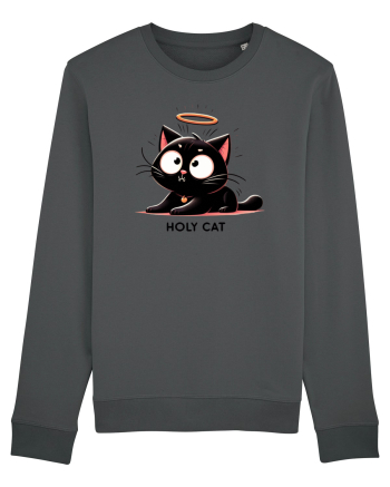Holy cat 3 Anthracite