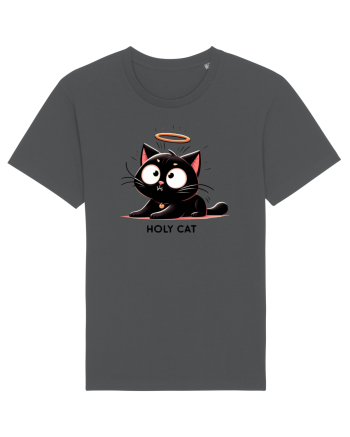 Holy cat 3 Anthracite