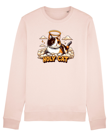 Holy cat 4 Candy Pink