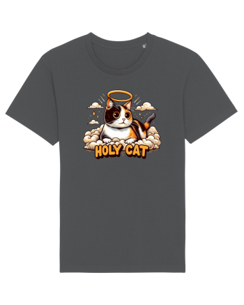 Holy cat 4 Anthracite