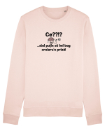 Ce? Stai putin sa imi bag creieru'n priza! Bluză mânecă lungă Unisex Rise