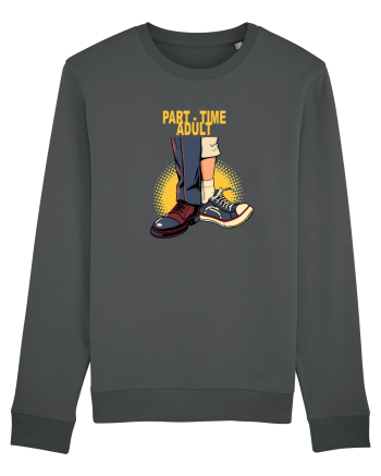 PART  - TIME ADULT  1 Anthracite