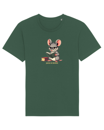 SOARECE DE BIBLIOTECA Bottle Green