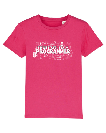 Trust me I'm an Programmer Raspberry