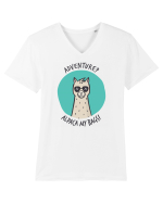 Alpaca my bags Tricou mânecă scurtă guler V Bărbat Presenter