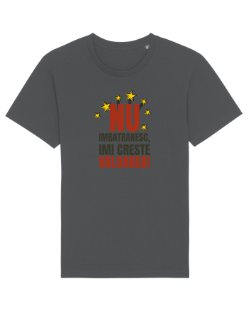 Nu imbatranesc, imi creste valoarea  Anthracite