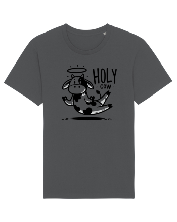 Holy Cow - Floating meditation Anthracite
