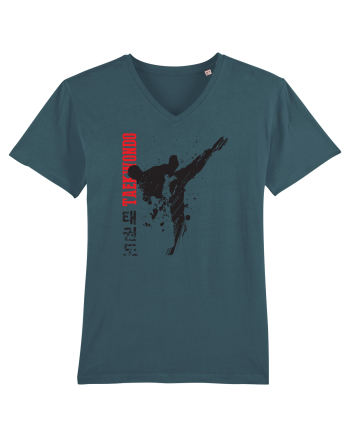 Taekwondo Stargazer