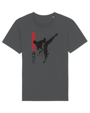 Taekwondo Anthracite