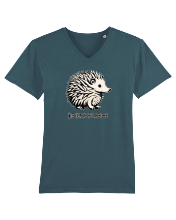 ARICI 5 - KEEP CALM AND HUG A HEDGEHOG Stargazer