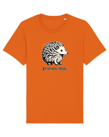 ARICI 5 - KEEP CALM AND HUG A HEDGEHOG Bright Orange
