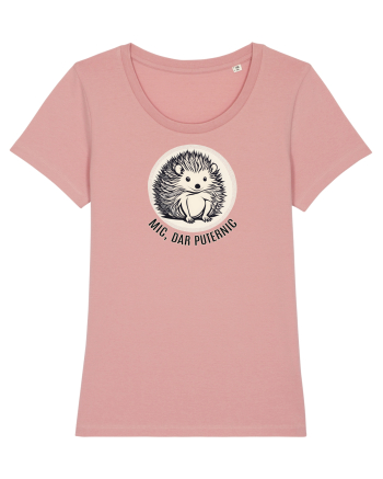 ARICI 6 - MIC, DAR PUTERNIC Canyon Pink