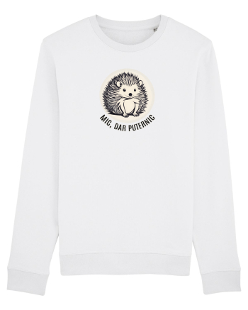 ARICI 6 - MIC, DAR PUTERNIC White